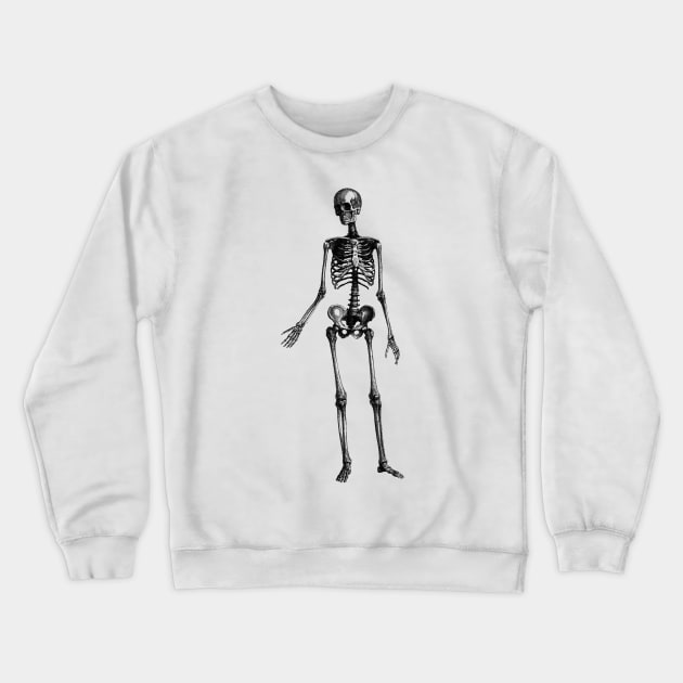 Human Body - Skeleton Crewneck Sweatshirt by be yourself. design